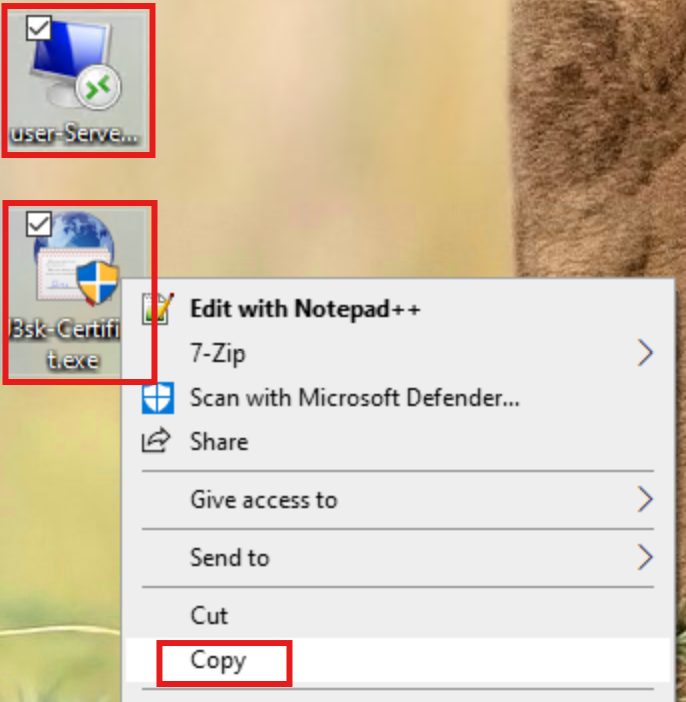 Skopírovanie súborov J3sk-Certifikat.exe a USERNAME-Server-Money.rdp